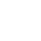 Logo_Norton copia