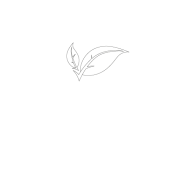 Logo_Vegetalistos copia